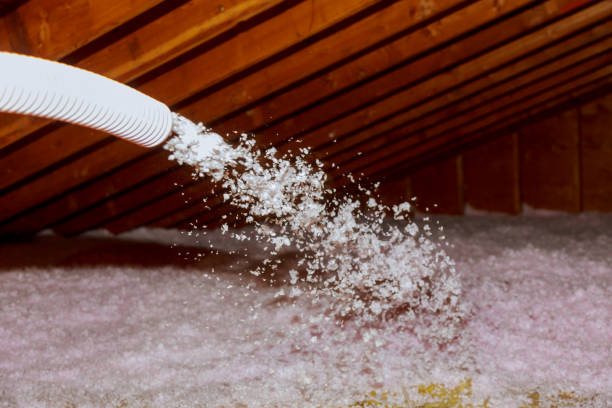 Best Specialty Insulation in Avoca, IA