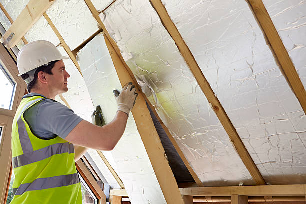 Best Insulation Maintenance and Repair in Avoca, IA