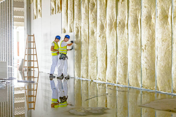 Professional Insulation Contractor in IA